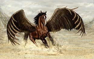 brown wing horse HD wallpaper